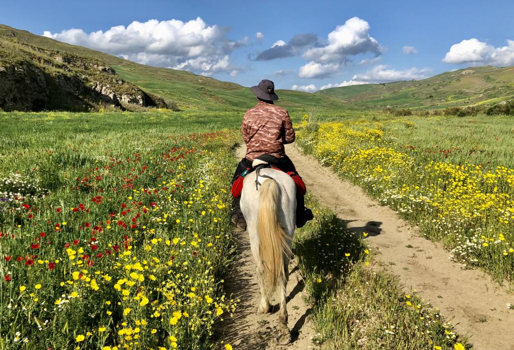 horseback riding trip in Sicily