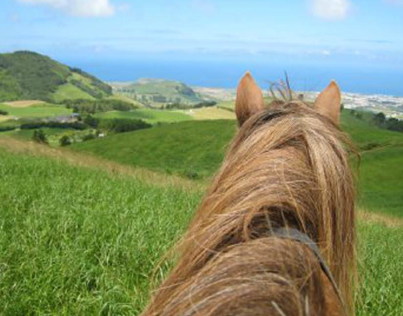 horseback trail ride Azores
