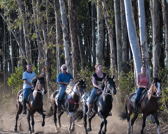 rando à cheval Brésil