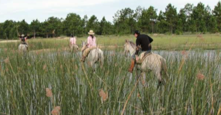 horseback trail ride Brazil