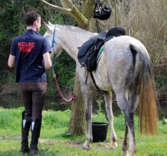 equestrian holiday in Spain