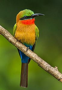 image-20211128150706-1