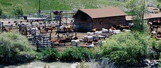 equestrian holidays Wyoming