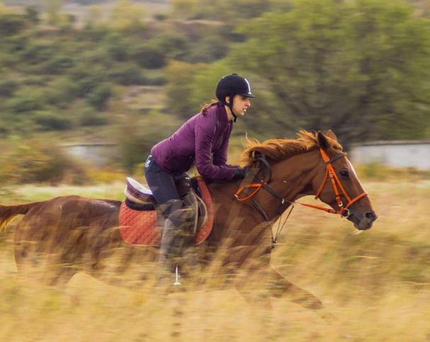 horse ride Croatia