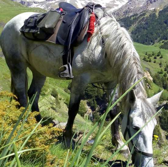 equestrian holiday in Spain