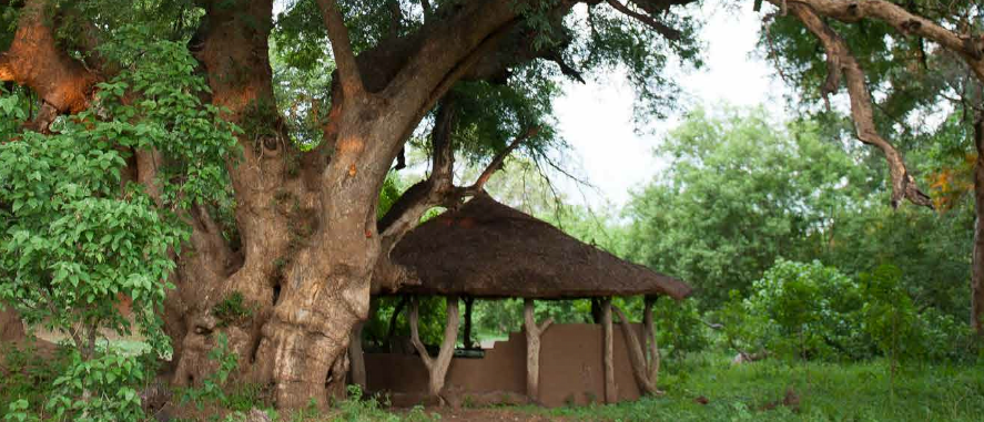 South Africa Botswana equestrian safari