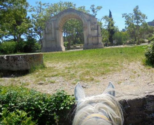 horse ridng holiday in Provence