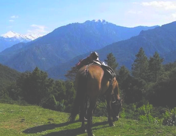 equestrian vacation in Corsica