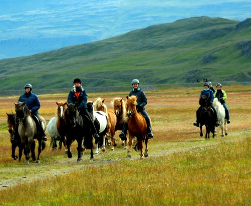 horse riding trip in Ireland