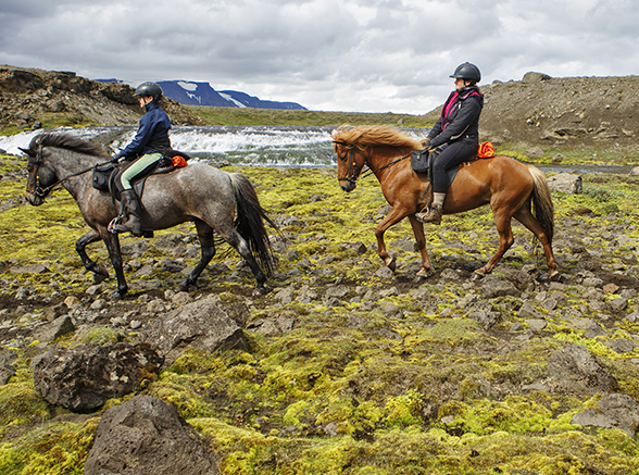 Icelandic horseback ride vacation