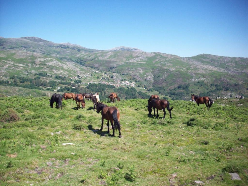 randonnée cheval Portugal