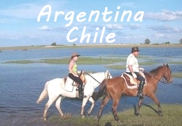image-20221124173654-1