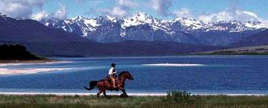 Rocky mountains horseback trail ride