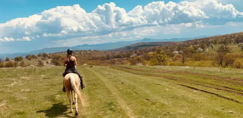 equestrian holiday Romania