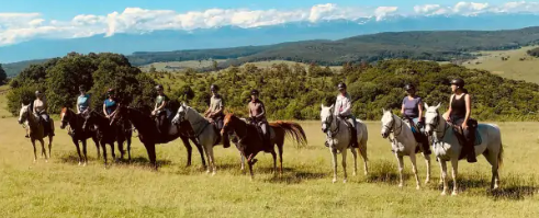 horse trail ride in Romania