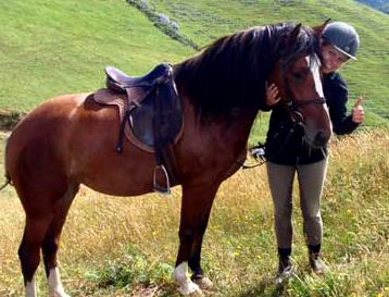 week horse riding Azores