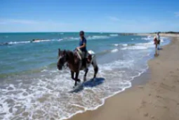 week horseback trail ride in Provence