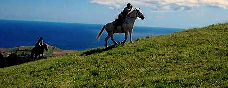 rando cheval Portugal
