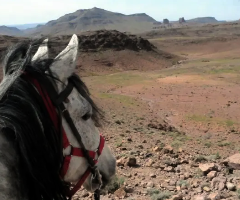Morocco horse riding trek