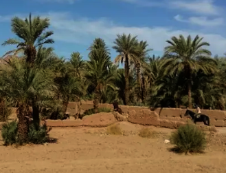 horse riding Morocco