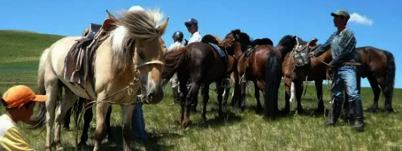 horse riding in Mongolia