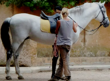 Equestrian holidays Spain Mallorca