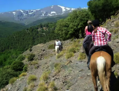 discover Andalusia on horseback