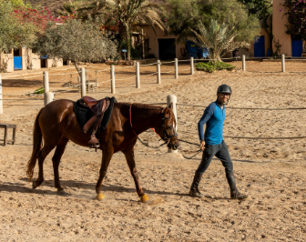 séjour équitation au Maroc