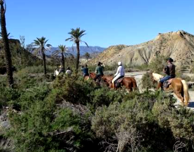 horseback holliday Andalusia