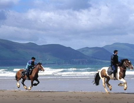 horse riding trip in Ireland