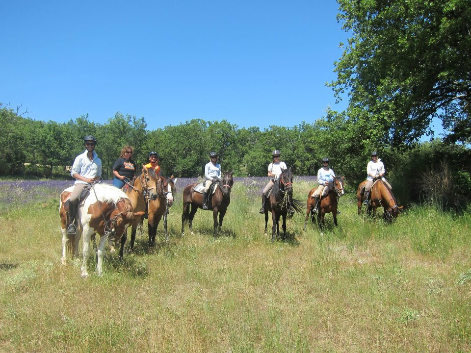 horseback riding trip in provence