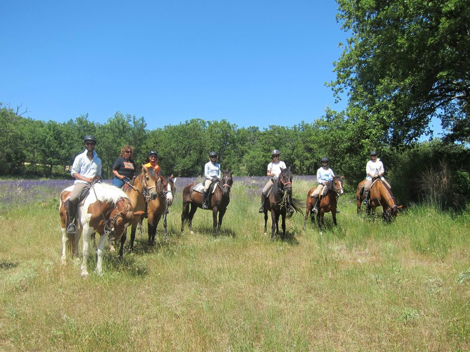 horseback riding in provence