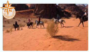 visit Jordan on horseback