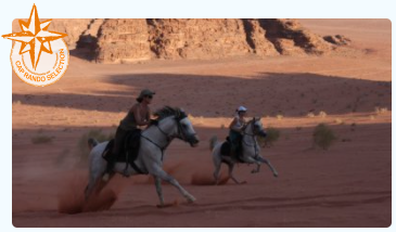 Petra horse riding Jordan