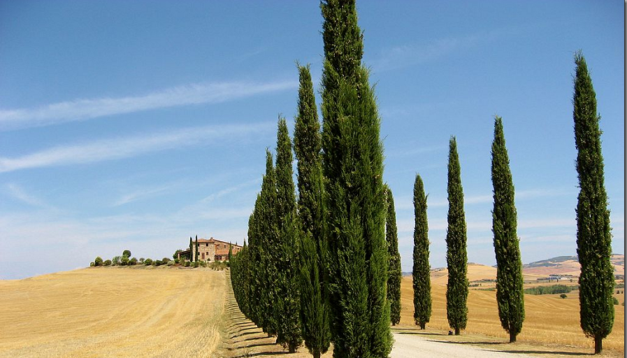 Randonnée à cheval en Italie