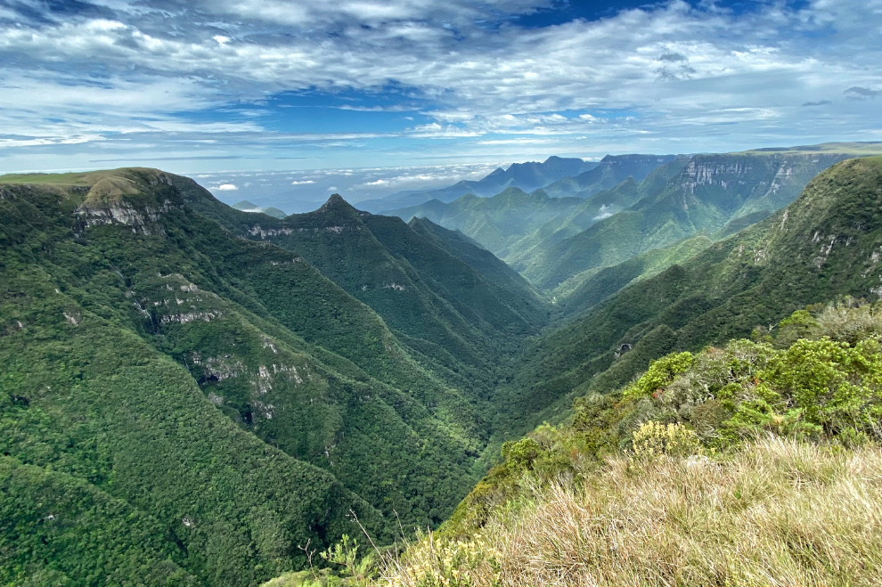 Horseback trail ride in Brazil