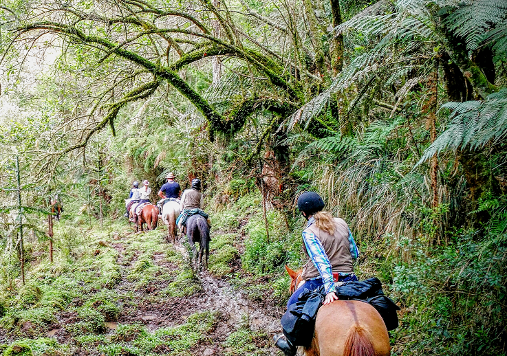 Horse riding vacation in Brazil