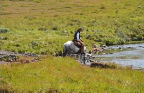 Brazil horseback ride