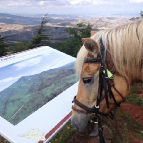 horse riding in Tuscany