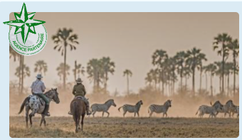 equestrian safari