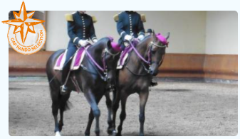Loire castle horse riding trip
