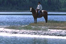 Rando cheval Canada