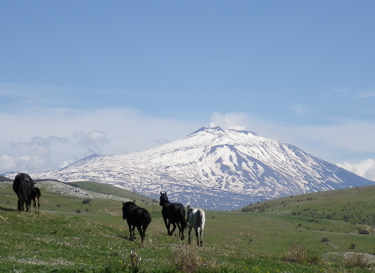 Equestrian holiday in Sicily Italy