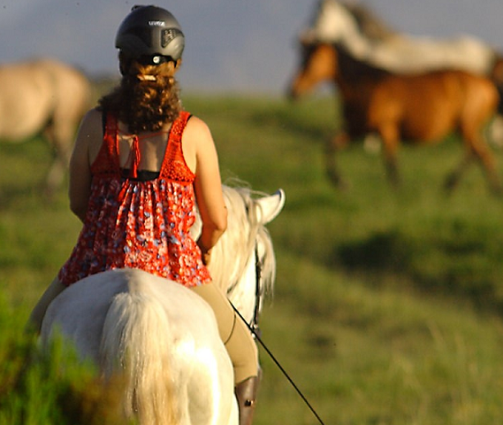 equestrian holiday in Portugal