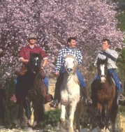 Luberon on horseback