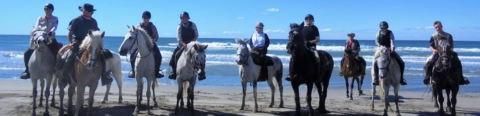 horseback trail ride in Camargue