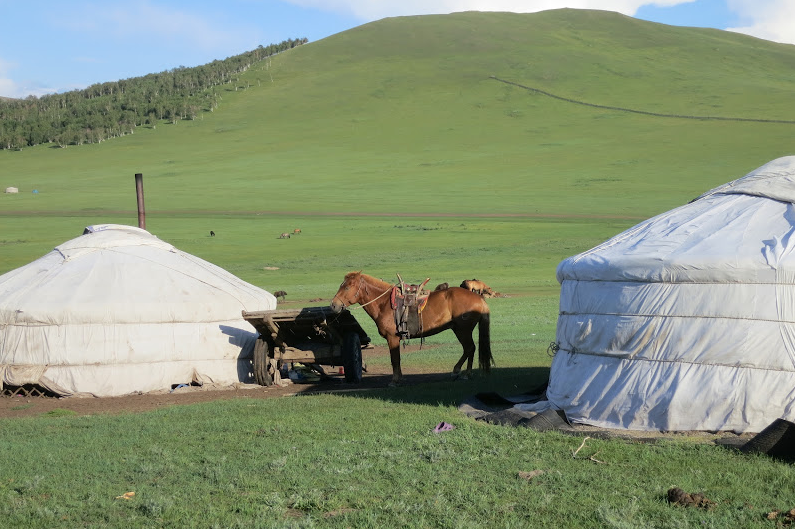 rando a cheval en Mongolie