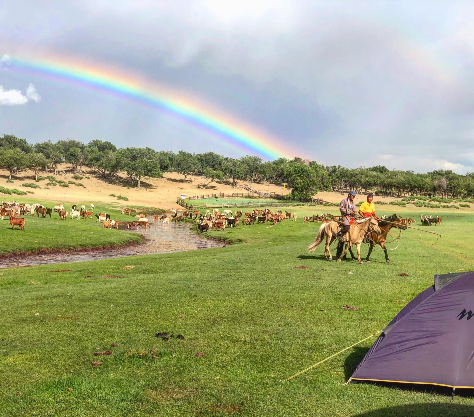 Horseback ride in Mongolia