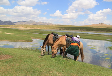 rando équestre Mongolie