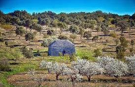 week equestrian ride in Provence